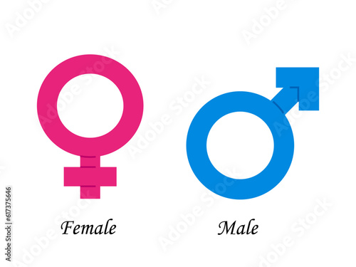 Gender Vector Symbol Female And Male In Blue And Pink Color With Text.