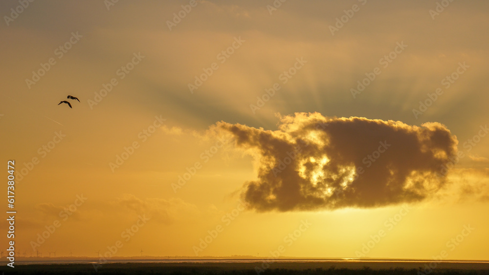 Fototapeta premium Sonne Wolken Gänse Baltrum