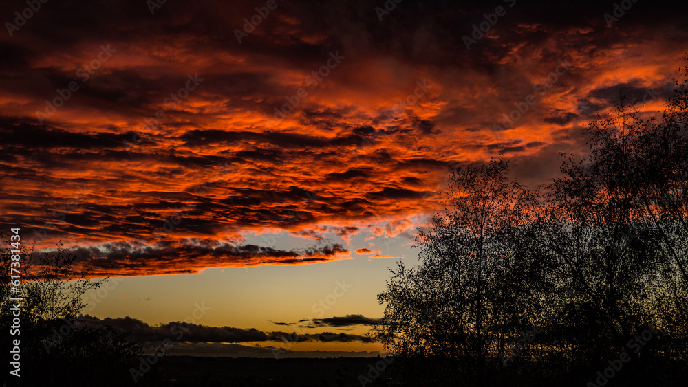 Obraz premium Sunset from a garden