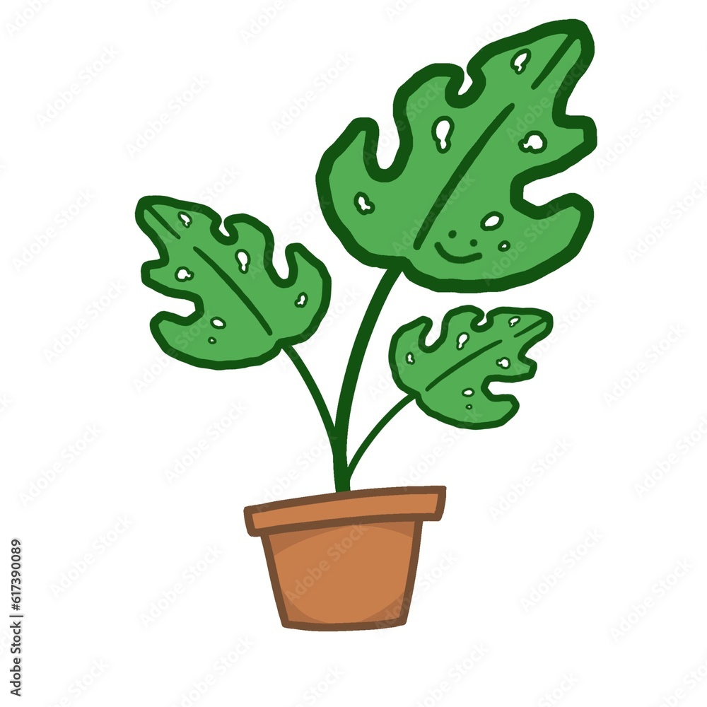 Plant Plant