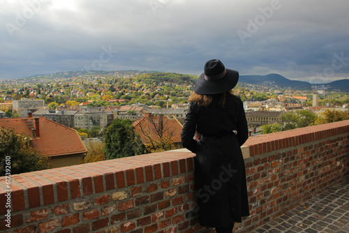 In the midst of a sunny yet cloudy day  a girl gazes upon a picturesque panorama of mountains and houses  her back turned towards the viewer  creating a serene and contemplative scene.