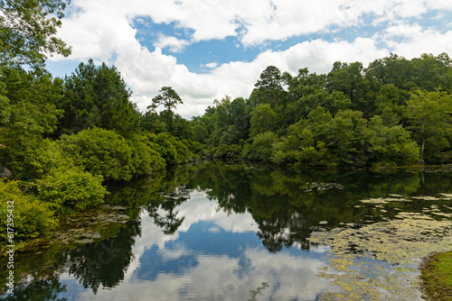landscape in the Magnolia Springs State Park in Georgia