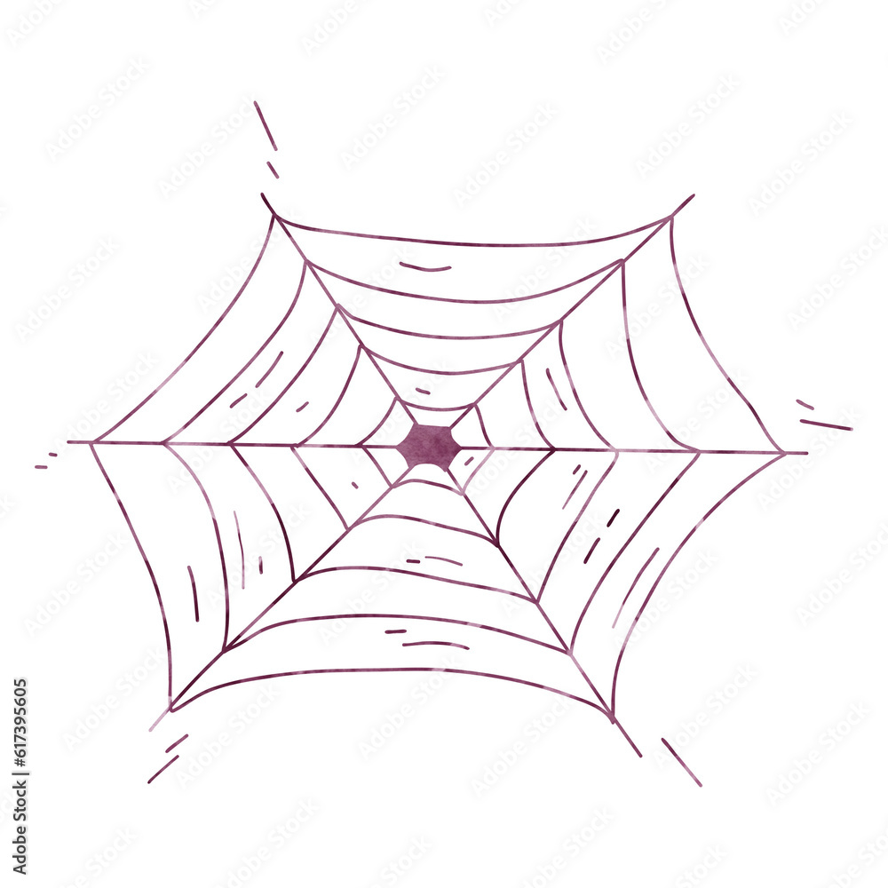 Fototapeta premium Spider web