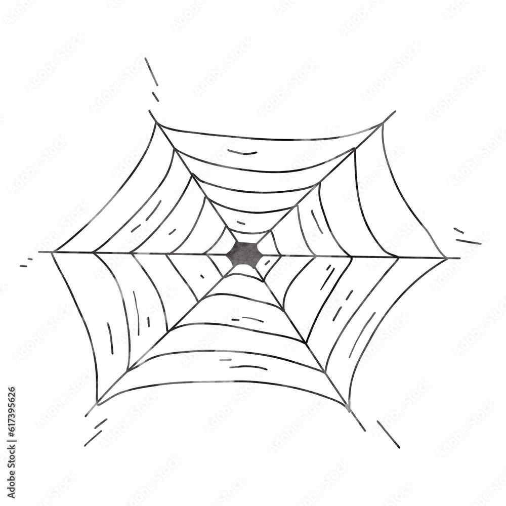 Fototapeta premium Spider web