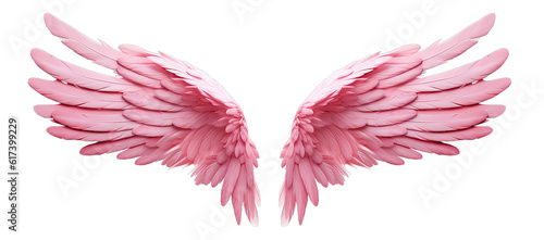 Obraz na plátně Beautiful realistic symmetrical angel wings