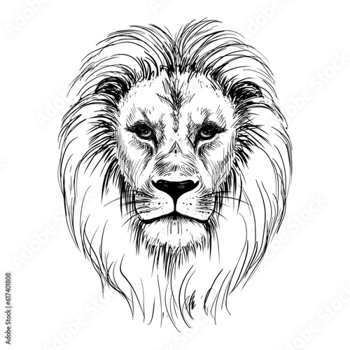 Sketch lion head vintage illustration.