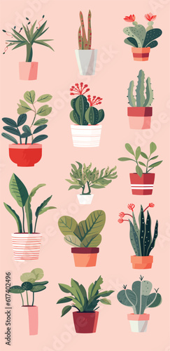 Different shapes of pots and plants
