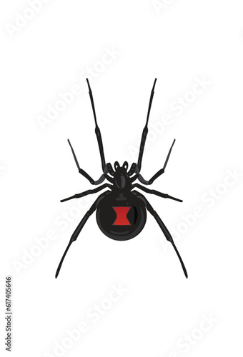 Life-Like Black Widow Spider, Latrodectus, Insect, Bug