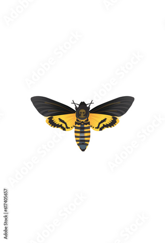Life-Like Death’s-head Hawkmoth, Acherontia Atropos Insect, Bug