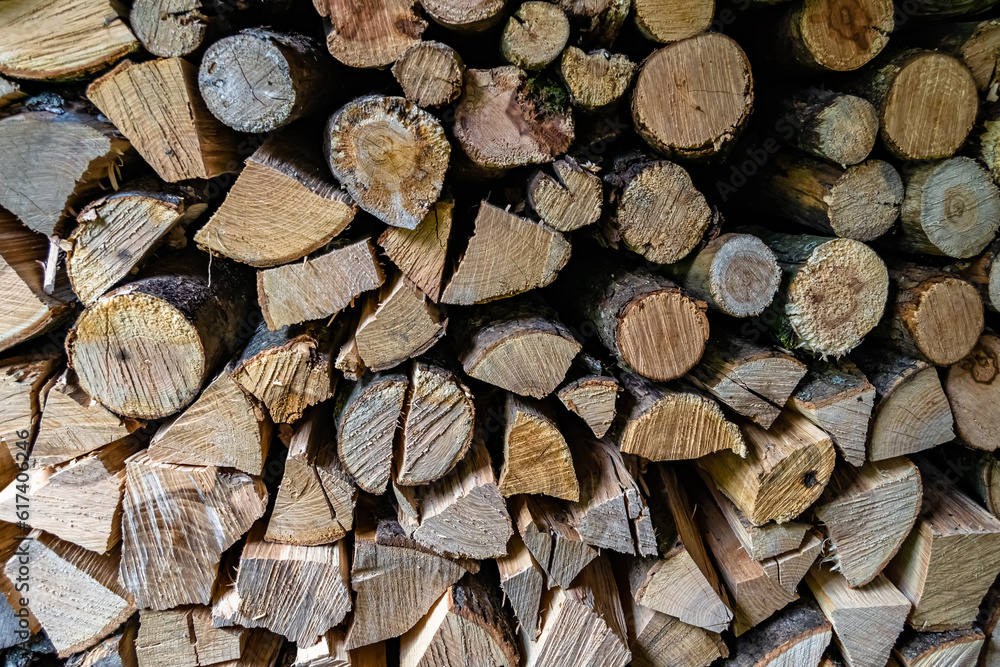 Photography on theme big wall of stacked oak tree logs in cracks Photography on theme big wall of stacked oak tree logs in cracks
