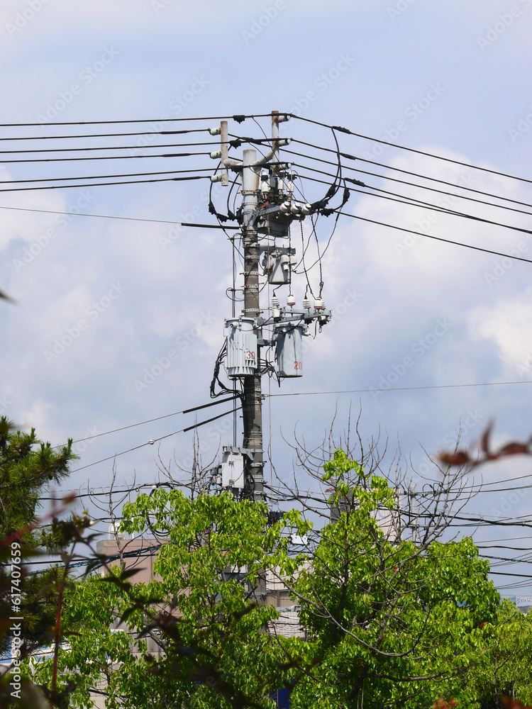 日本の典型的な電柱。
日本の送電システム。
高圧電線とトランス、その下の電話線。