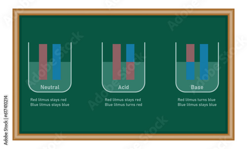 Acids cause blue litmus paper to turn red. Bases cause red litmus paper to turn  blue. Chemistry resources for teachers and students.
