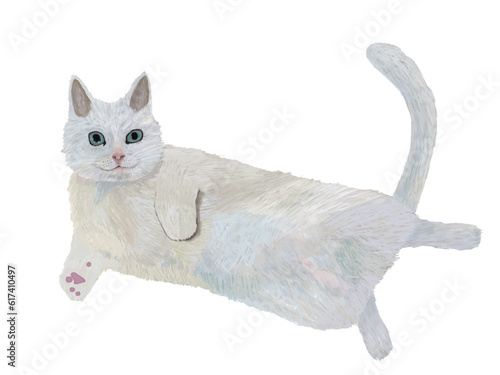 Illustration of a white cat navel-gazing