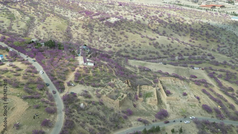 A bird's-eye view of the mountains in the distance, the clear sky, and the land covered with meadows and purple flowers A bird's-eye view of the mountains in the distance, the clear sky, and the land covered with meadows and purple flowers