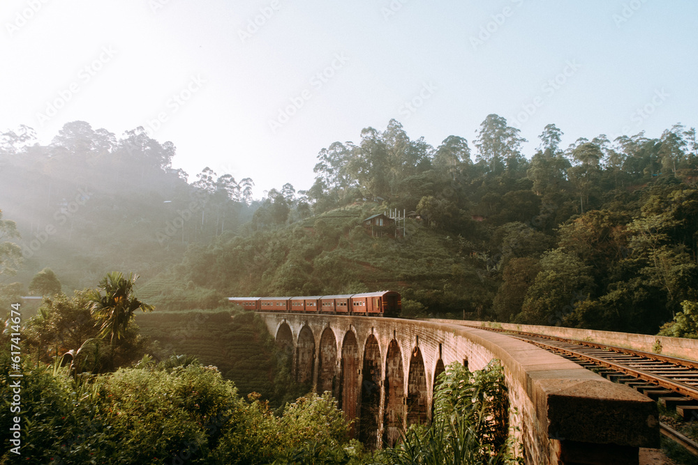 Rails of Tranquility: The Scenic Train at Ella, Sri Lanka