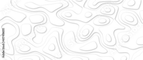 Abstract wavy line 3d paper cut white background. White paper cut white background. Abstract realistic papercut decoration textured with wavy layers and shadow. Abstract realistic papercut decoration	