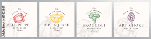 Organic Vegetables Logo Templates Set. Hand Drawn Bell Pepper, Broccoli, Squash and Artichoke Illustrations with Retro Typography. Premium Plant Based Vegan Food Badge Emblems Collection Isolated