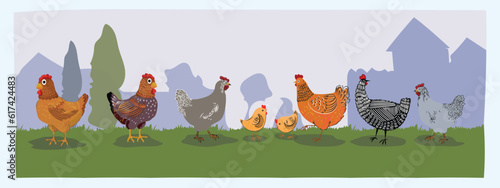 Group of chicken hen hand drawn vector illustration.