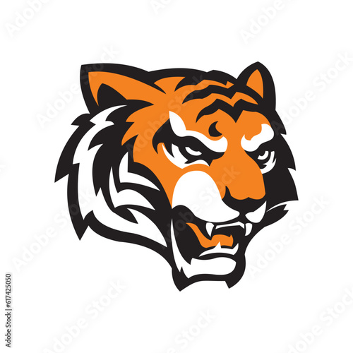 head tiger vector illustration