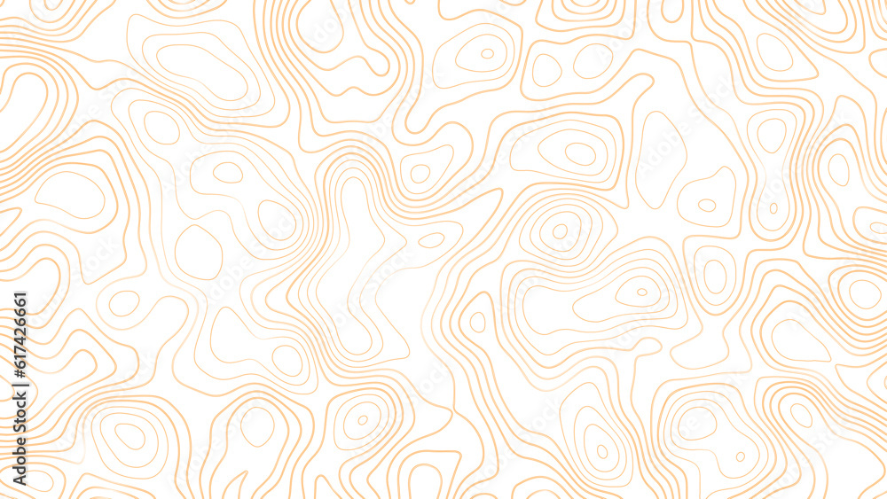 Topographic map, vector background with height lines. Topographic map colorful abstract background with contour lines. The concept of conditional geographical pattern and topography map.	