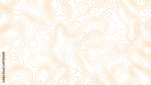 Topographic map, vector background with height lines. Topographic map colorful abstract background with contour lines. The concept of conditional geographical pattern and topography map. 