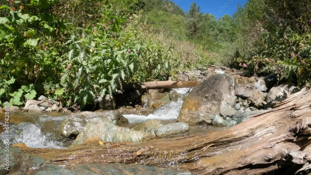 watercourse or spring with small waterfalls in mountain ridge forest - loop video watercourse or spring with small waterfalls in mountain ridge forest - loop video
