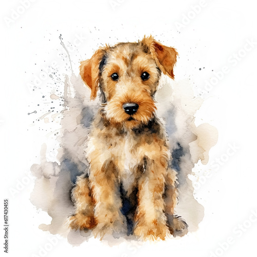 Cute Airedale terrier puppy, isolated on white background. Digital watercolour illustration.