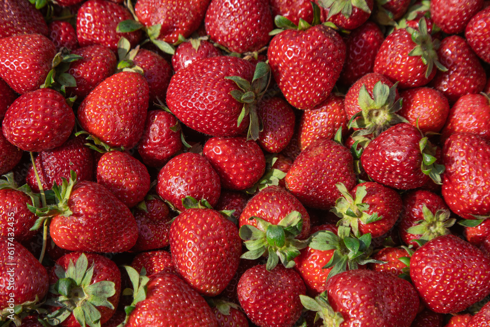 strawberries in a market strawberries in a market