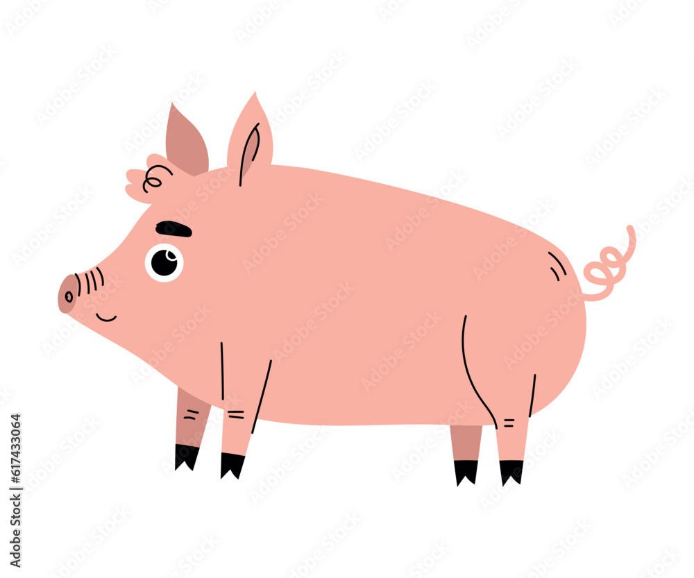 Fototapeta premium Cute Pink Pig with Curly Tail as Farm Animal Vector Illustration