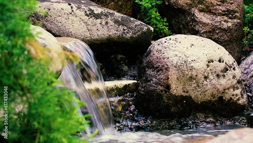 Green Nature Garden decoration of Mini waterfall set with stone and tropical fern plant forest patterns in the garden