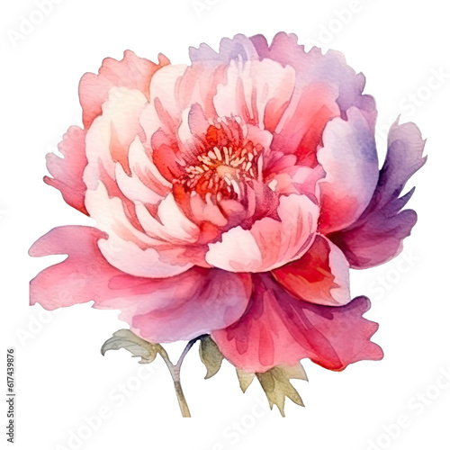 Cute watercolor peony flower. Illustration AI Generative.