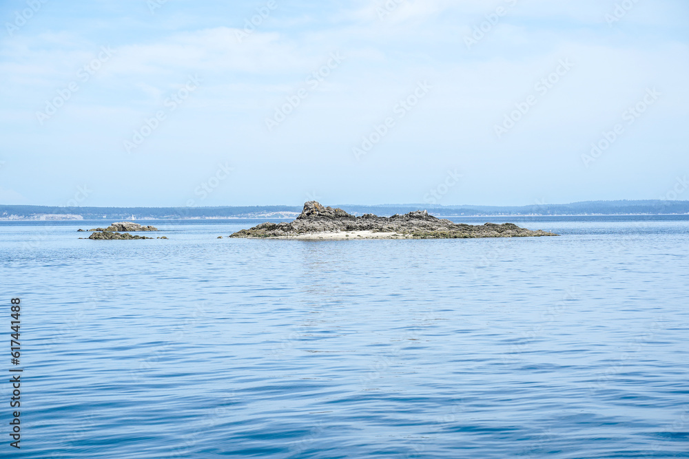 Large rock in the Pacific Ocean surrounded by birds. Puget Sound, state of Washington, USA. Large rock in the Pacific Ocean surrounded by birds. Puget Sound, state of Washington, USA.