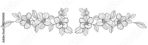 grass and flowers line art vector illustration