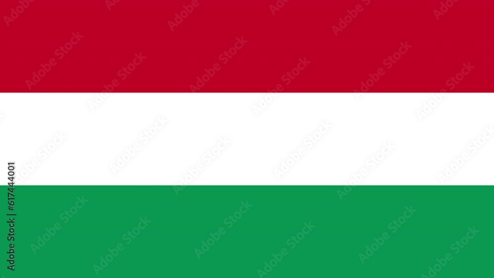 Animated plane flying over the the flag of Hungary. Animated plane flying over the the flag of Hungary.