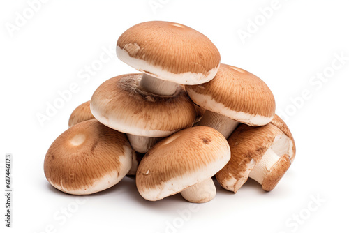 Fresh porcini mushrooms, isolated on a white background