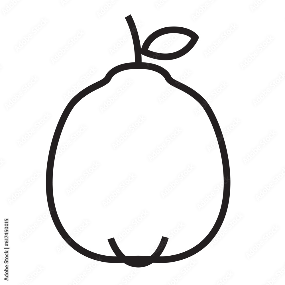 Quince line icon fruit isolated on a white background Quince line icon fruit isolated on a white background