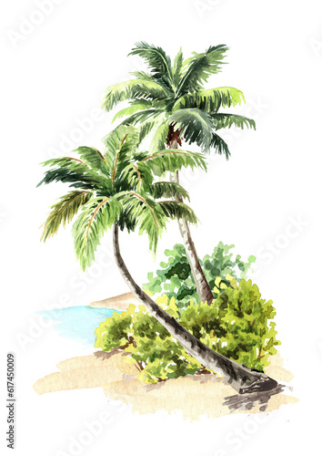 Tropical palmTrees, Hand drawn watercolor illustration isolated on white background