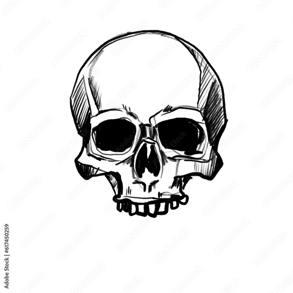 Hand drawn skull (black pencil, transparent) Hand drawn skull (black pencil, transparent)