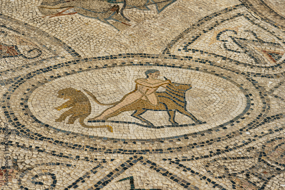 Obraz premium Morocco. Volubilis is an ancient Roman city located near the city of Meknes