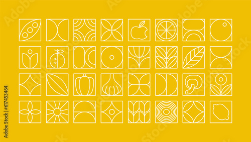 Geometric food pattern. Minimal line natural organic fruit vegetables plant shapes, brand identity design. Vector set