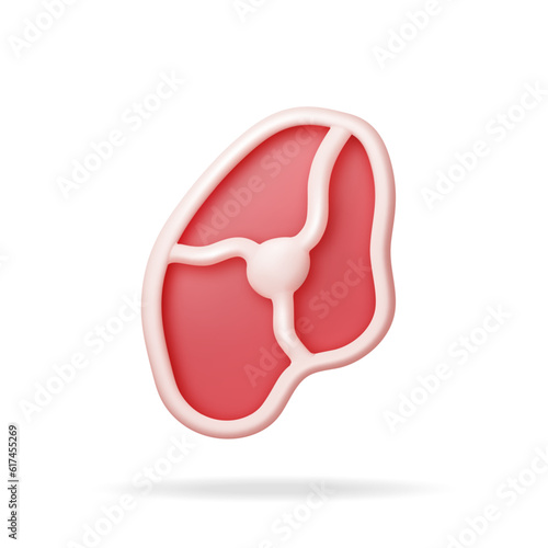 3D Meat Steak Isolated on White. Render Beef Tenderloin. Pork Knuckle. Slice of Steak, Fresh Raw Meat. Uncooked Pork Chop or Beef or Lamb for Barbeque and Cooking. Vector Illustration