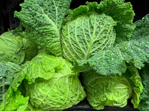 Fresh green cabbages in market display