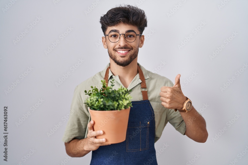 Arab man with beard holding green plant pot doing happy thumbs up gesture with hand. approving expression looking at the camera showing success. Arab man with beard holding green plant pot doing happy thumbs up gesture with hand. approving expression looking at the camera showing success.