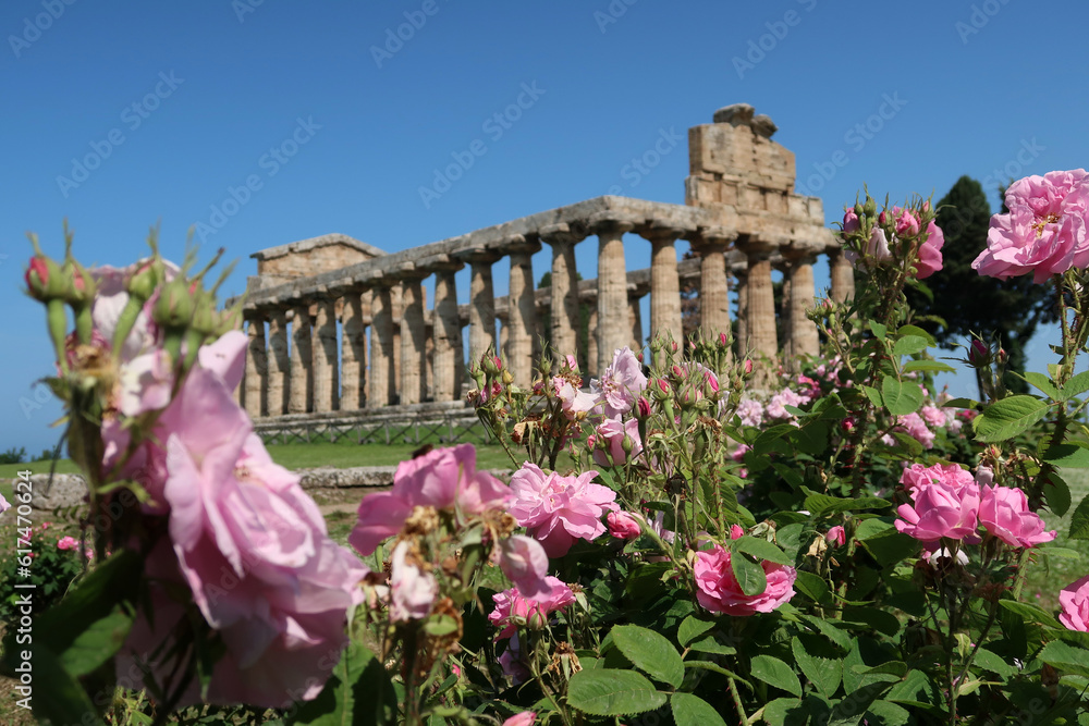 Obraz premium Griuechischer Tempel in Paestum, Kampanien - Greek temple in Paestum, Campania, Italia