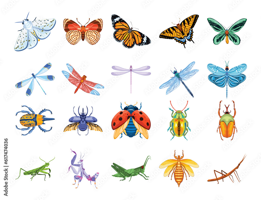 Naklejka premium Set Vector Cartoon Entomology Insects Character isolated illustration