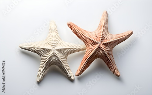 Two Starfish and Seashells, White Surface, Closeup, Natural Textures, Ideal for eCommerce, Commercial Graphics, Nature, Ocean and Beach Designs, Generative AI, Generative, KI 