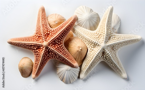 Closeup Shot of Two Starfish, Seashells, Isolated on White, Natural Texture, Perfect for Commercial Use, eCommerce Photography, Marine Life Showcase, Generative AI, Generative, KI 