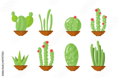 Home plants, cactus in pots and with flowers. Set of flower pots for design. The apartment is in a cartoon style. Green plant, nature, floral and exotic, wild botany tropical.
