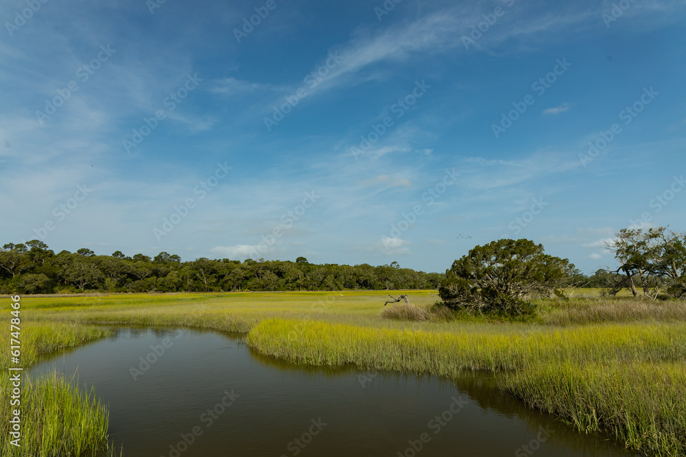 wetland landscape at Jekyll Island in Georgia wetland landscape at Jekyll Island in Georgia