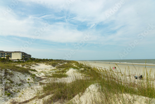 Fototapeta Naklejka Na Ścianę i Meble -  sand dunes and beach in Jekyll Island in Georgia